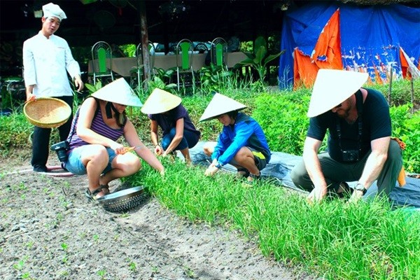 3[-]tour[-]du[-]lịch[-]dân[-]dã[-]của[-]Việt[-]Nam[-]‘đốn[-]tim’[-]du[-]khách